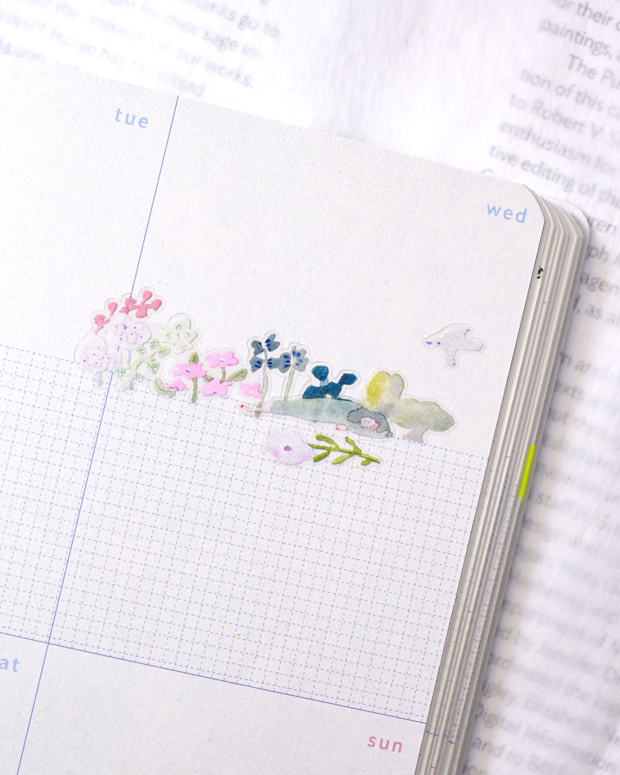 dodolulu doremi PET Tape - When Birds Sing (3cm)