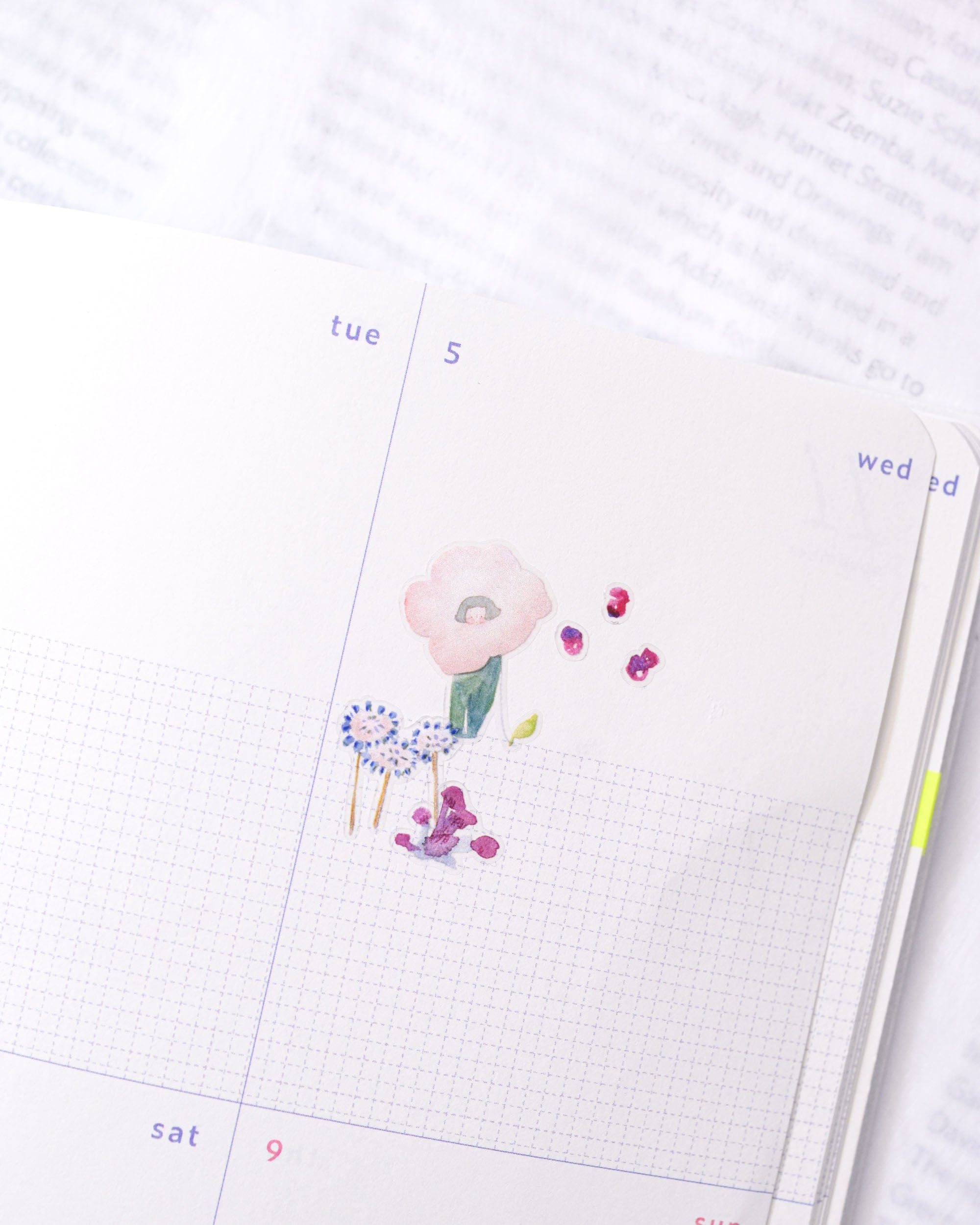 dodolulu doremi PET Tape - When Birds Sing (3cm)
