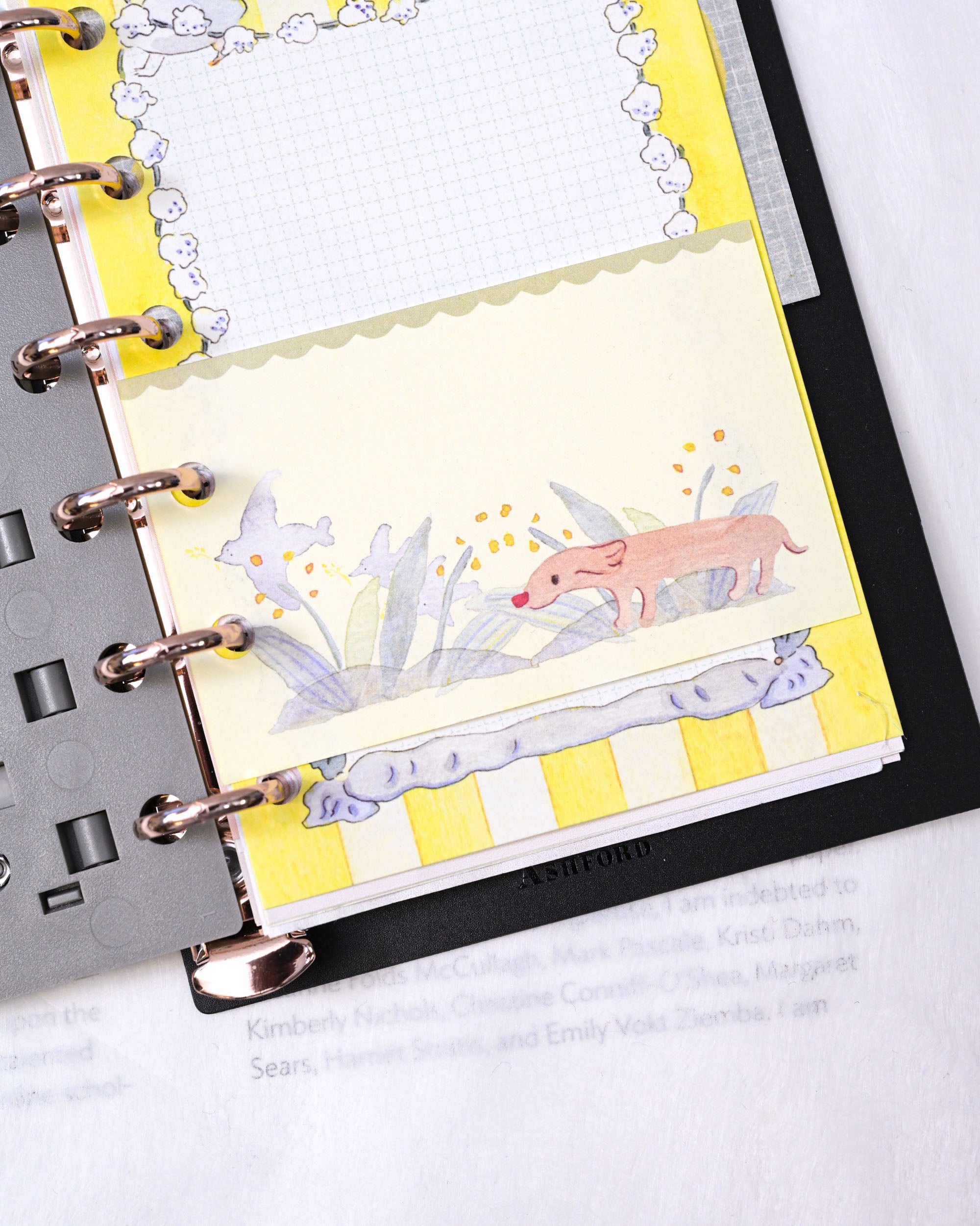 dodolulu Mini 6 (M6) Memo Refill - Follow the Bloom